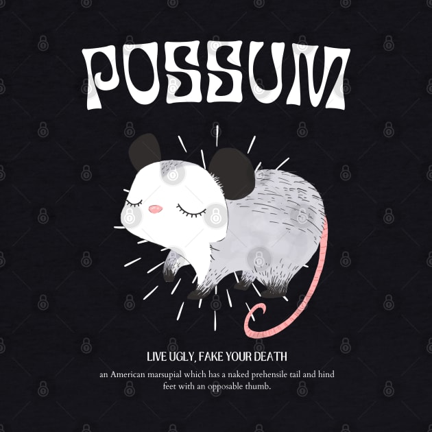 Possum by burlytx